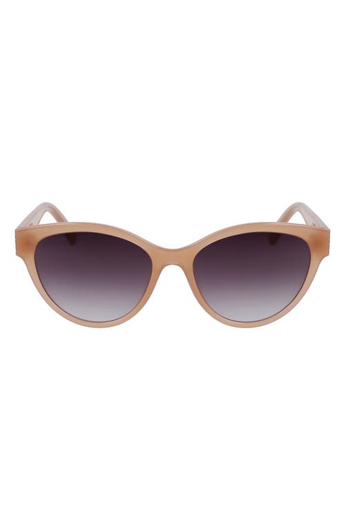 55mm Gradient Cat Eye Sunglasses in Beige