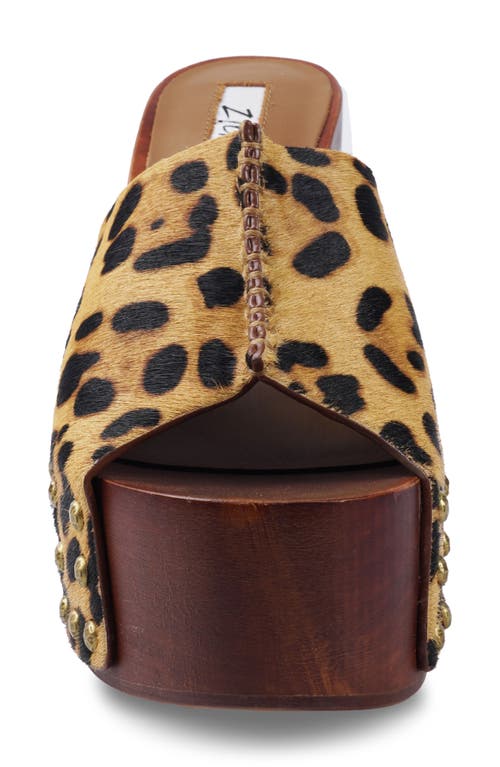 Zigi Yama Platform Slide Sandal In Leopard Calf Hair
