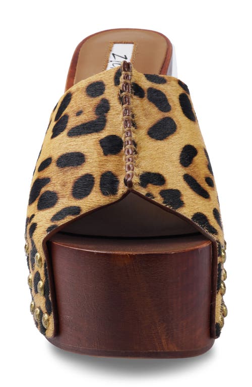 Shop Zigi Yama Platform Slide Sandal In Leopard Calf Hair