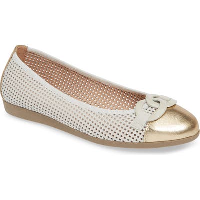 Hispanitas Conrad Flat