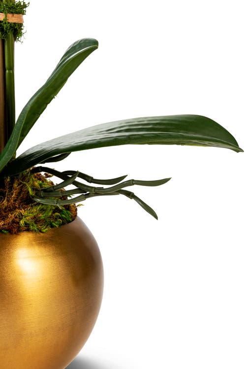 Cocobella Adeline Gold Realtouch Orchid In Gold