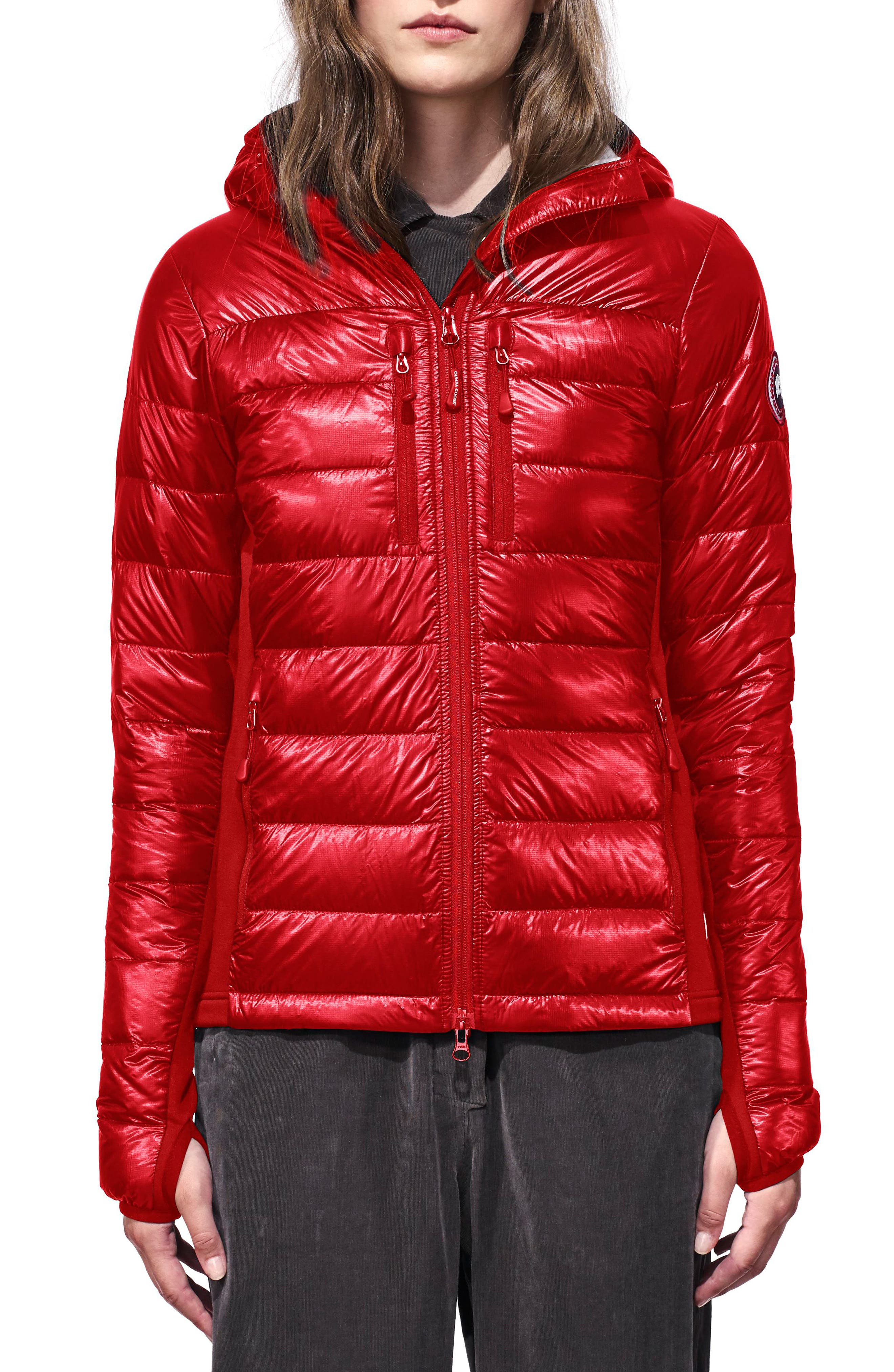 Canada Goose