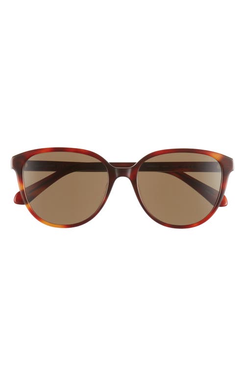Kate Spade New York Vienne 53mm Polarized Cat Eye Sunglasses In Brown