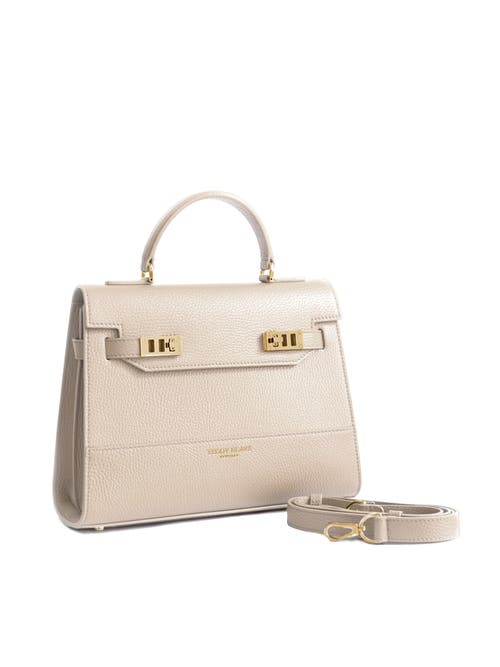 Teddy Blake Kim Stampato 11" In Cream