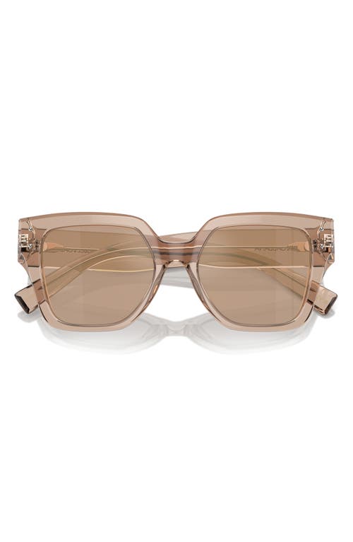 Dolce & Gabbana Dolce&gabbana 52mm Square Sunglasses In Camel