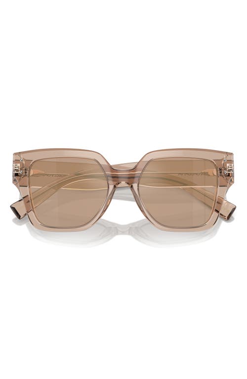 Shop Dolce & Gabbana Dolce&gabbana 52mm Square Sunglasses In Camel