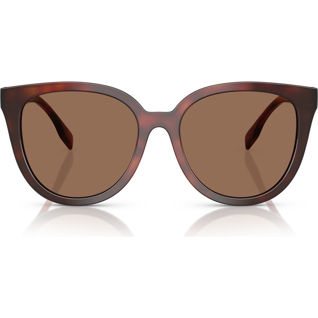 Tory Burch 56mm Phantos Sunglasses In Dark Brown