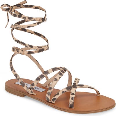Steve Madden Carmen Strappy Ankle Wrap Sandal, Brown