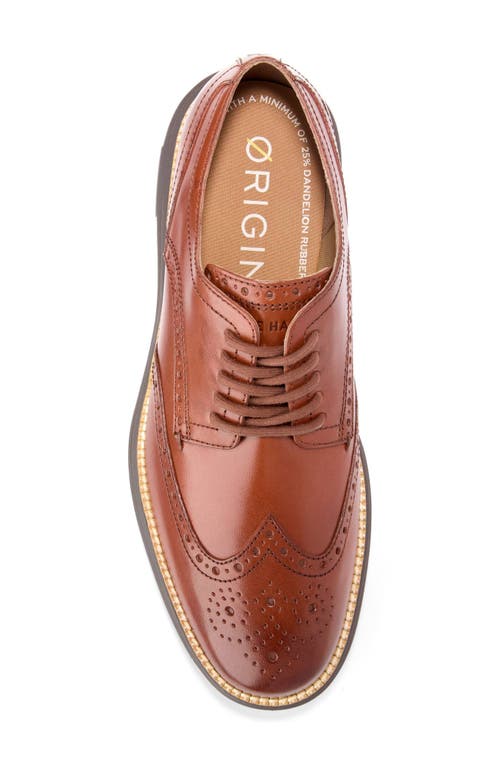 Shop Cole Haan Øriginalgrand Remastered Shortwing Derby In Woodbury/java