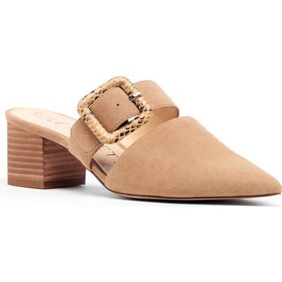 Sole Society Karelle Mule, Brown