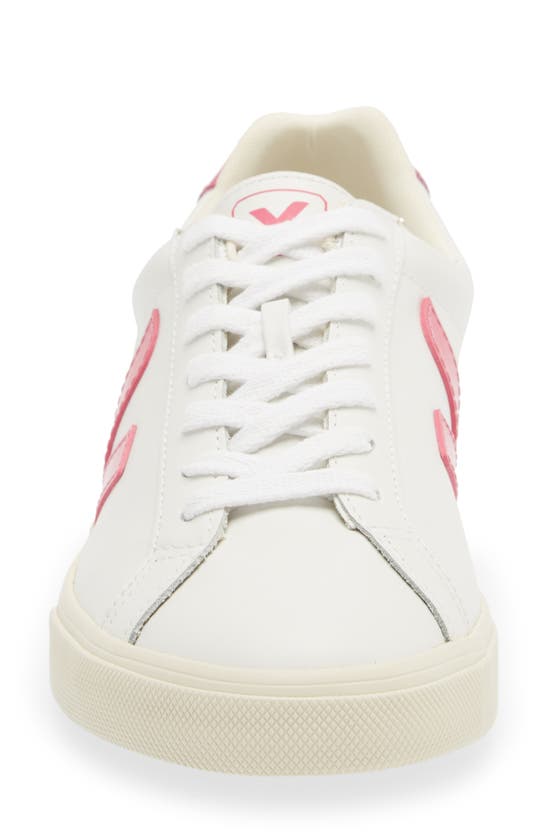 Shop Veja Esplar Sneaker In Extra-white Parme
