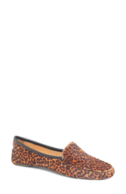 Shop Patricia Green 'jillian' Loafer In Dark Brown Leopard Haircalf