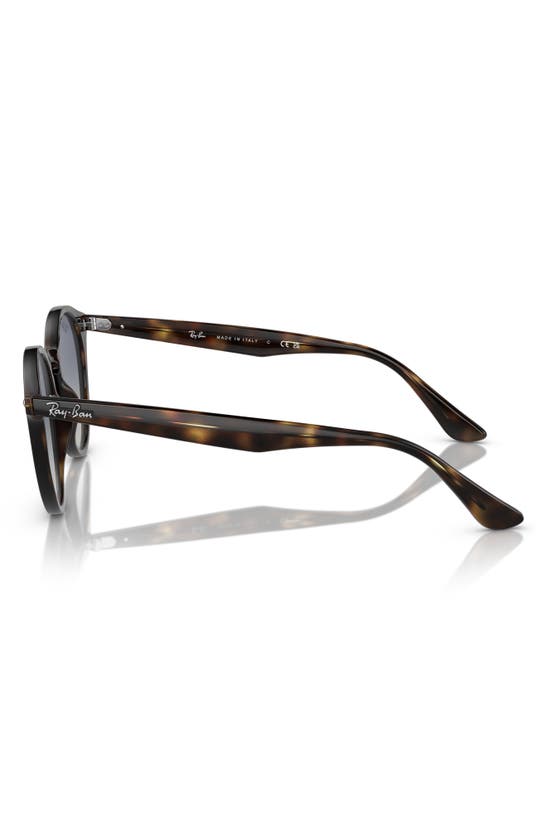 Shop Ray Ban 49mm Retro Sunglasses In Lite Havana