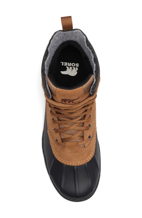 Shop Sorel Buxton Lite Waterproof Boot In Elk/black