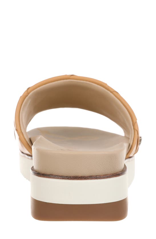 Shop Sam Edelman Adaley Slide Sandal In Natural