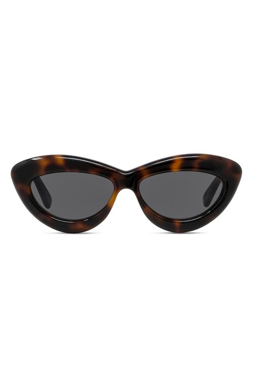 Loewe Curvy 54mm Cat Eye Sunglasses in Dark Havana /Smoke at Nordstrom