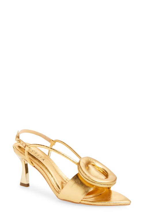 Myra Pointed Toe Slingback Sandal in Gold Shiney