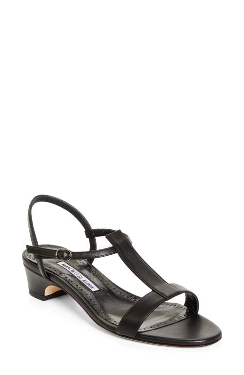 Shop Manolo Blahnik Virnana Block Heel Sandal In Black