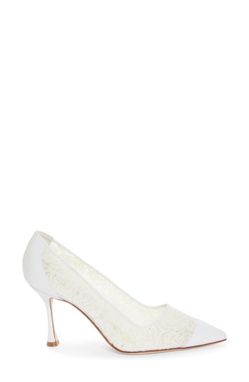 Shop Manolo Blahnik Sololaria Pointed Toe Pump In White