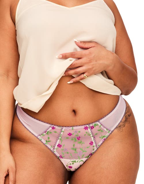 Shop Adore Me Rosa Thong Panties In Floral Purple