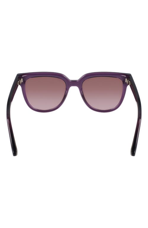 Longchamp Le Pliage 52mm Round Sunglasses In Transparent Plum