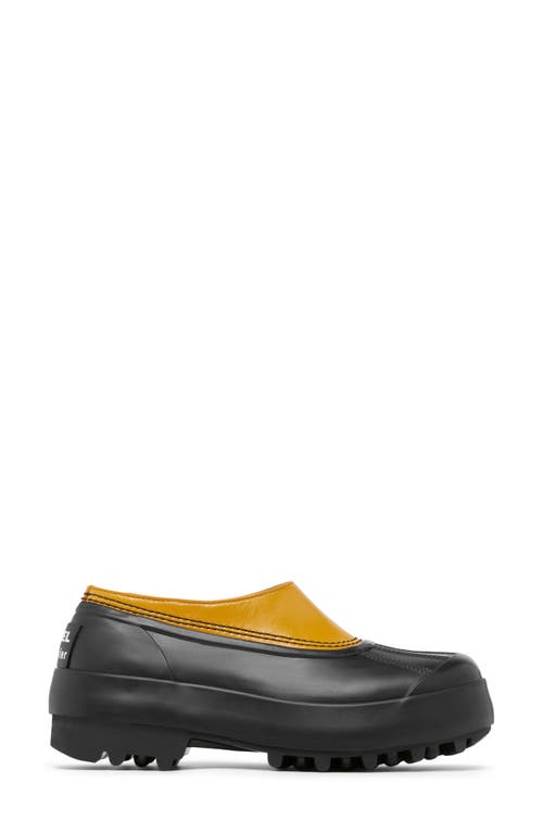 Shop Sorel X Proenza Schouler Waterproof Clog In Golden Ochre