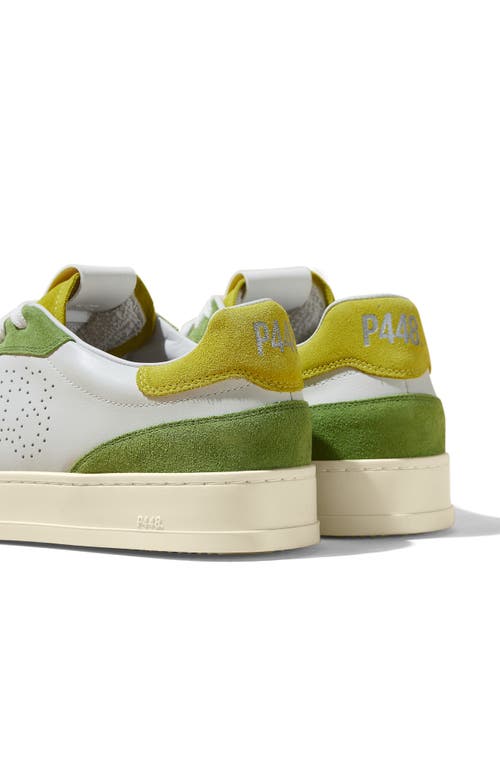 P448 Bali Low Top Sneaker In White/green