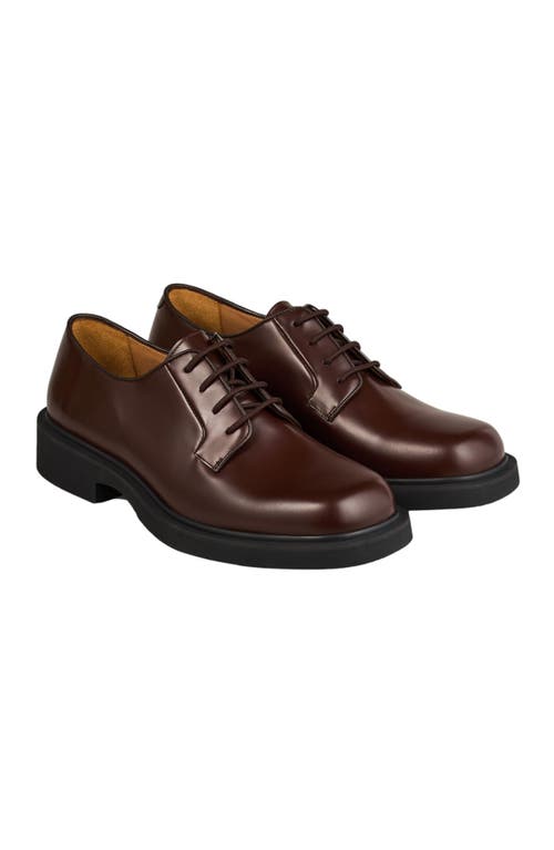 Shop Sandro Patent Leather Derbies In Black Brown