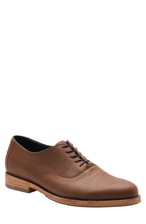 Everyday Oxford in Brown