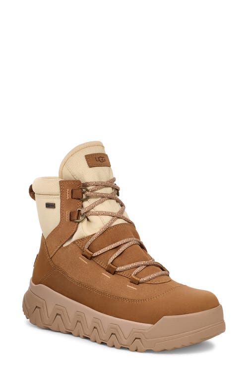 Ugg(r) Terretrail High Top Winter Boot In Chestnut