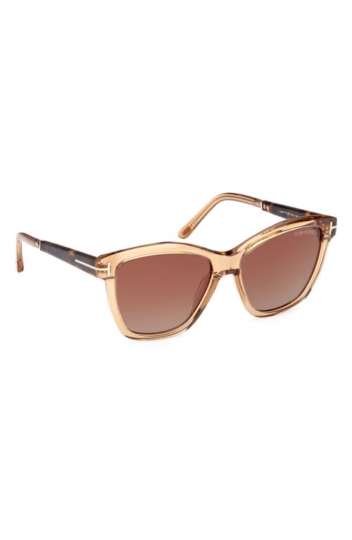 Shop Tom Ford Lucia 54mm Gradient Square Sunglasses In Beige Vintage Havana/brown