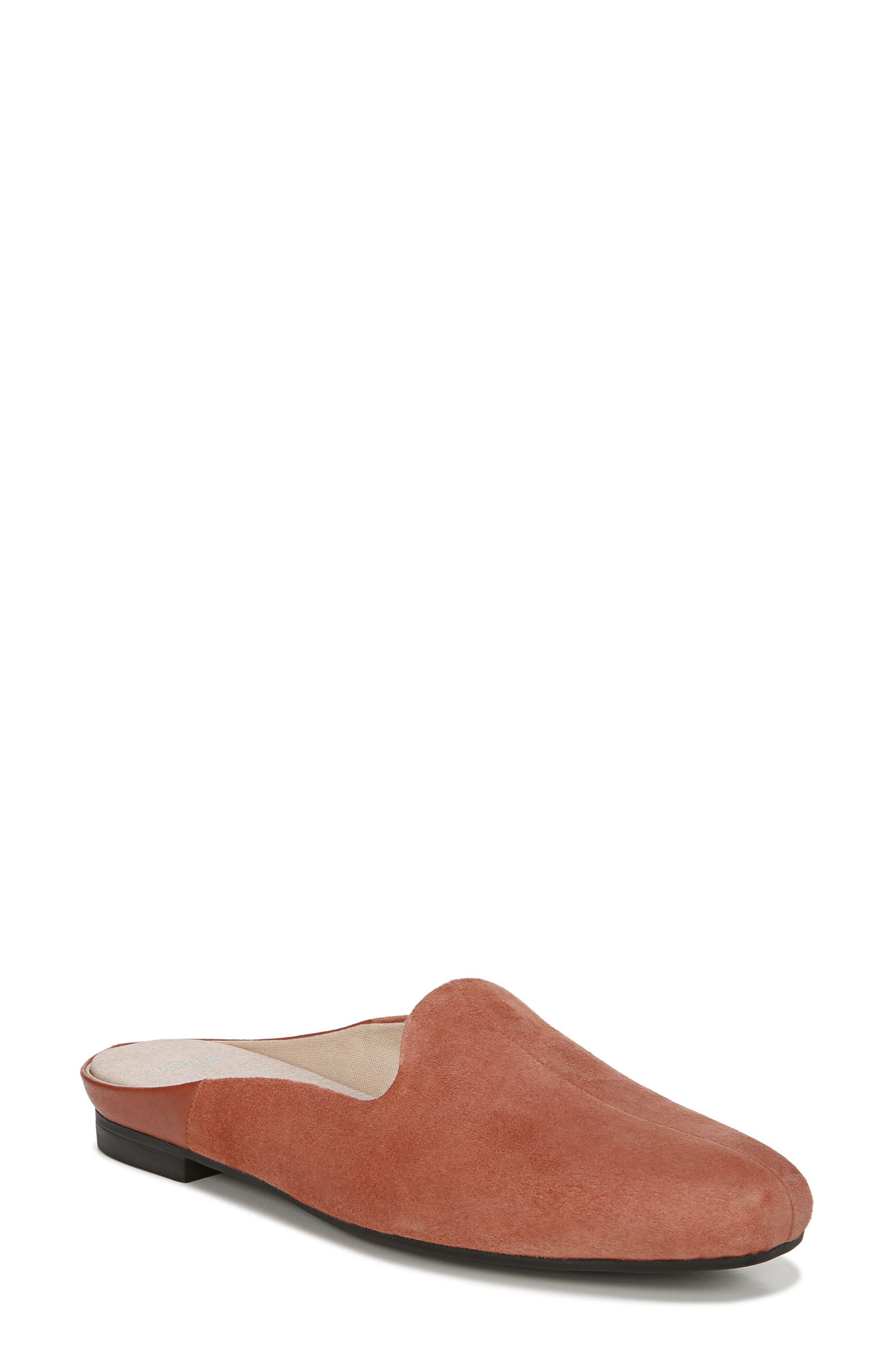 dr scholls mules