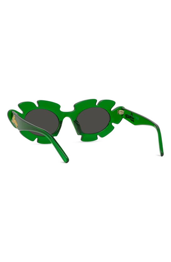 Shop Loewe X Paula's Ibiza 47mm Cat Eye Sunglasses In Dark Green/ Other / Smoke