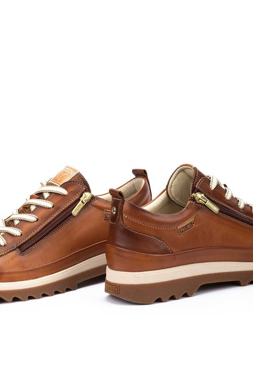 Shop Pikolinos Vigo Sneaker In Brandy