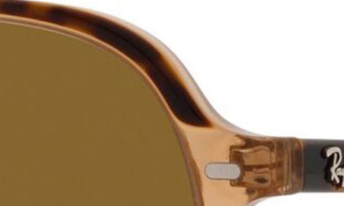 Shop Ray Ban Ray-ban 55mm Navigator Sunglasses In Havana Brown/clear Brown