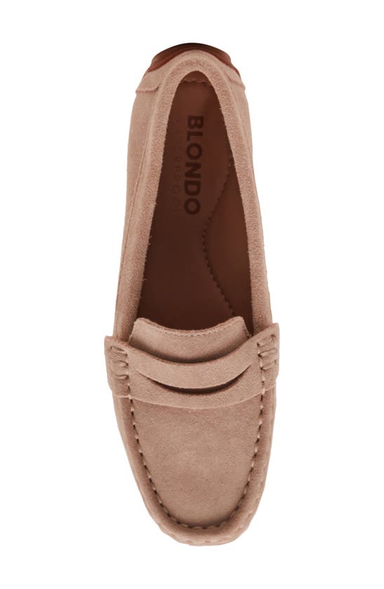 Shop Blondo Sonni Driver Loafer In Sand Suede
