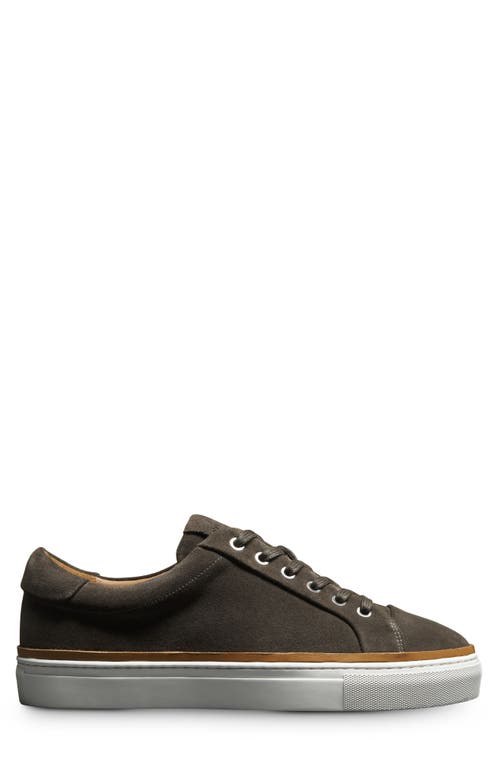 Allen Edmonds Flynn Leather Sneaker In Grey