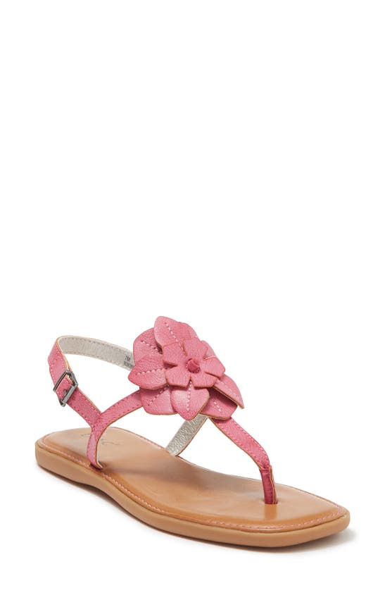 B O C By Born Koko Floral Sandal In Pink