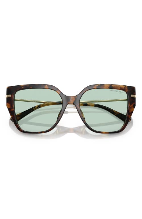 Michael Kors 54mm Square Sunglasses In Dark Tortoise