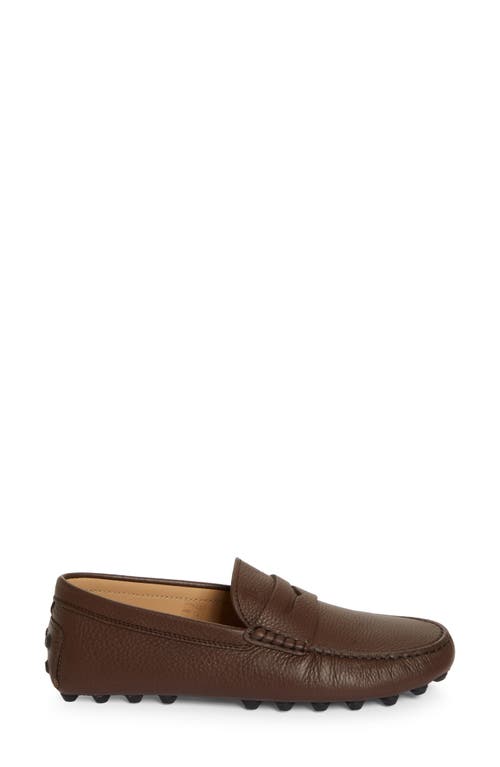 Shop Tod's Gommino Driving Shoe In Tabacco Scuro