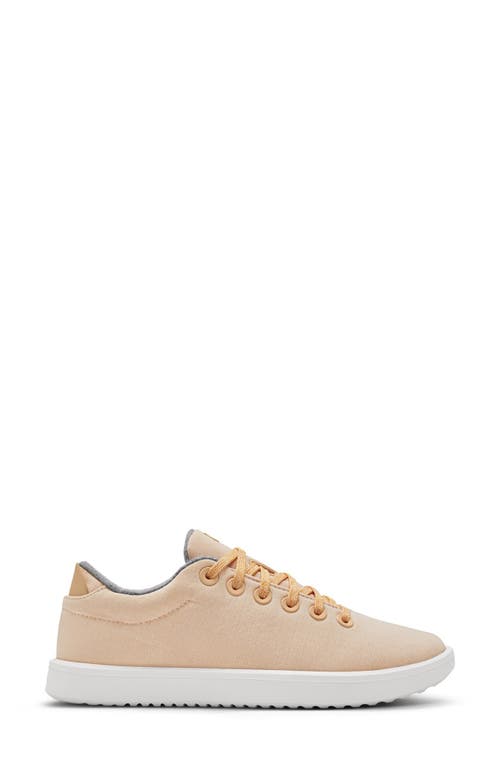 Shop Allbirds Wool Piper Sneaker In Lux Camel/blizzard