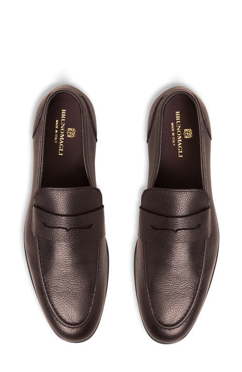 Shop Bruno Magli Lastra Penny Loafer In Brown Tumbled