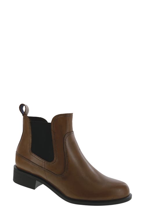 Sas Mojo Bootie In Dusky Brown