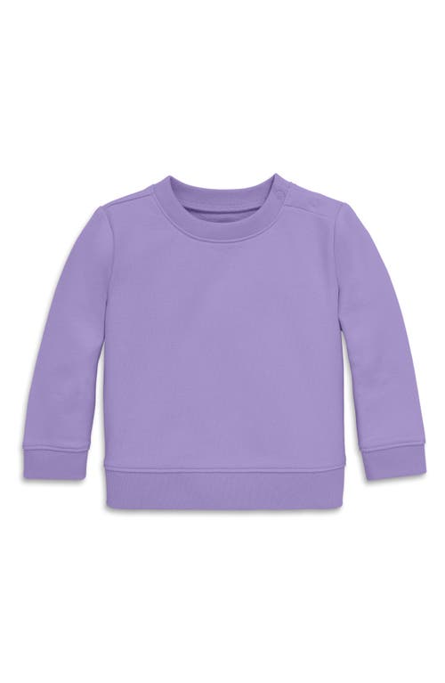 Primary The New Baby Sweatshirt In Iris
