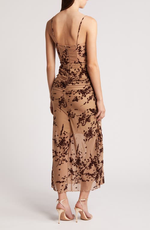 Shop Rare London Floral Velvet Burnout Corset Cocktail Dress In Brown