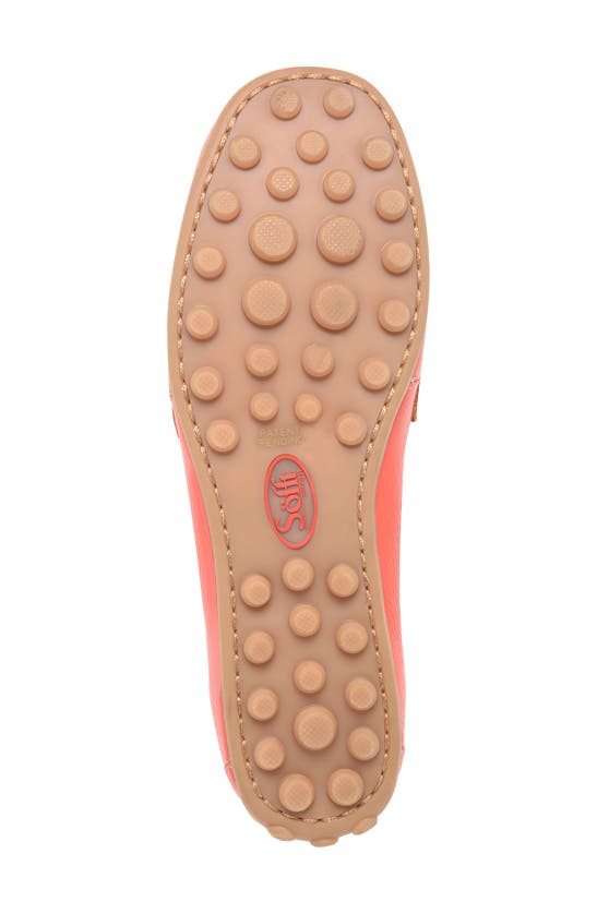 Shop Söfft Allie Moc Toe Penny Loafer In Coral