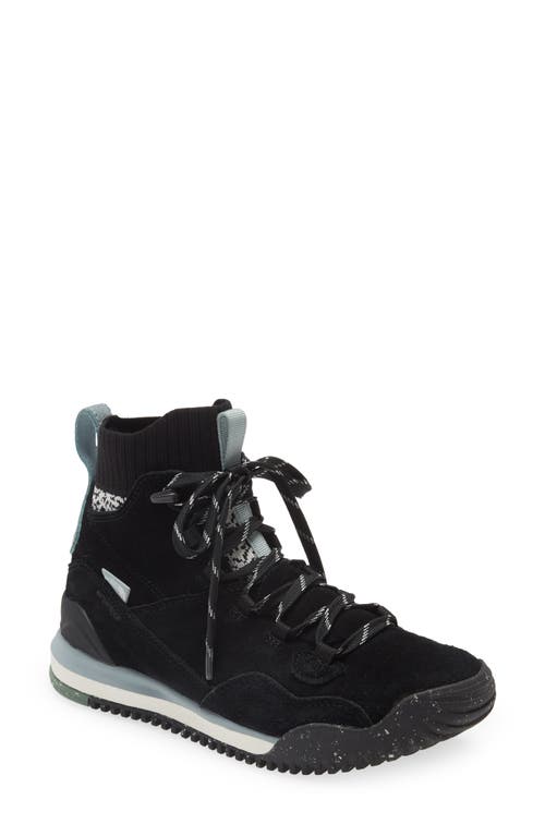 UPC 195439249967 product image for The North Face Back to Berkeley III Hybrid Boot in Tnf Black/Gardenia White at  | upcitemdb.com