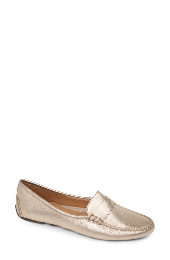 Shop Patricia Green Janet Scalloped Driving Loafer In Gold