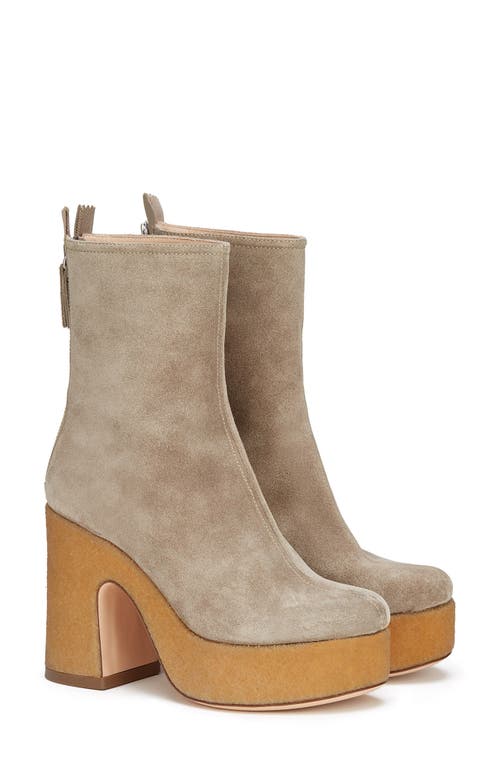 AGL Shan Suede Boot in Taupe