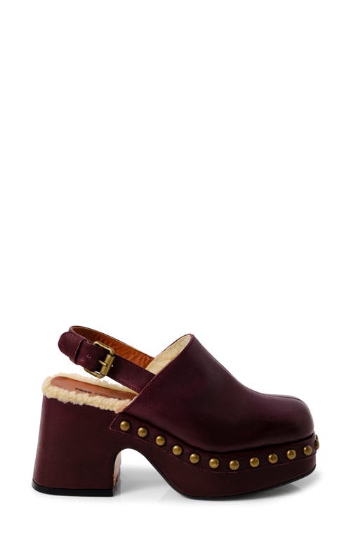 Shop Free People Autumn Studded Slingback Platform Clog In Wine